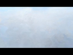 ケロン企業開発